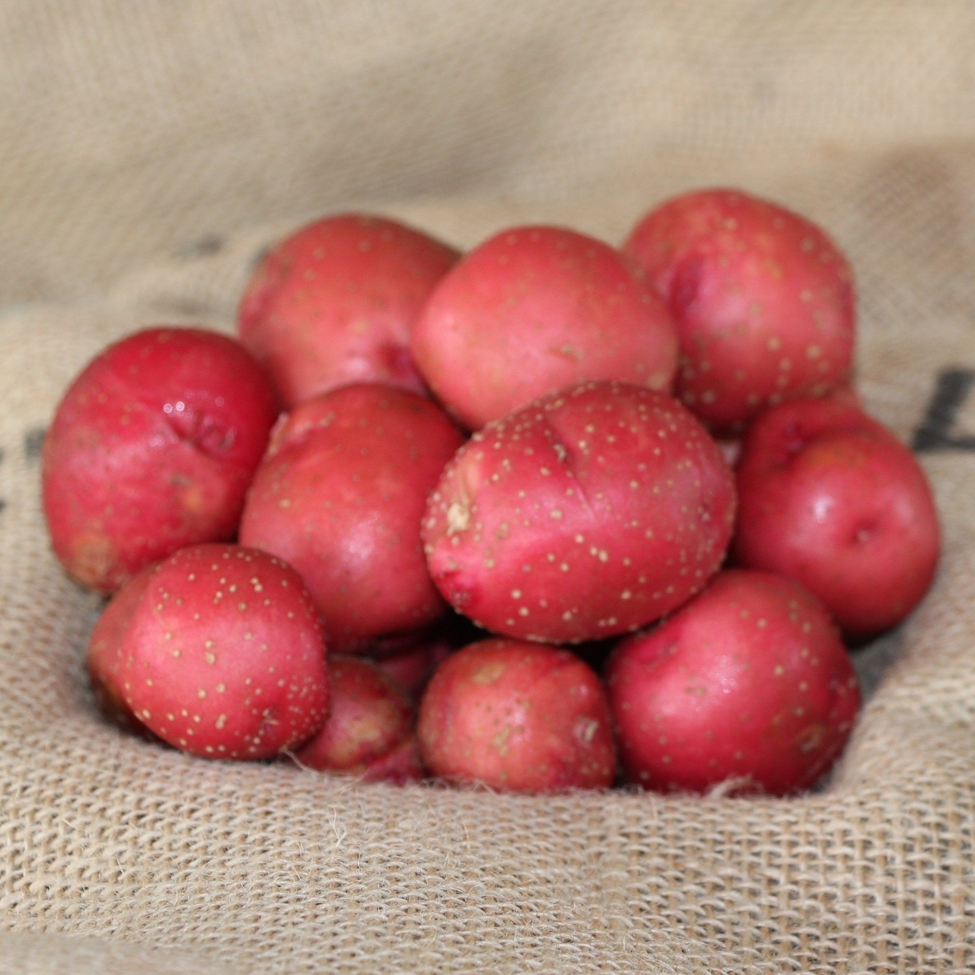 locally grown new potatoes