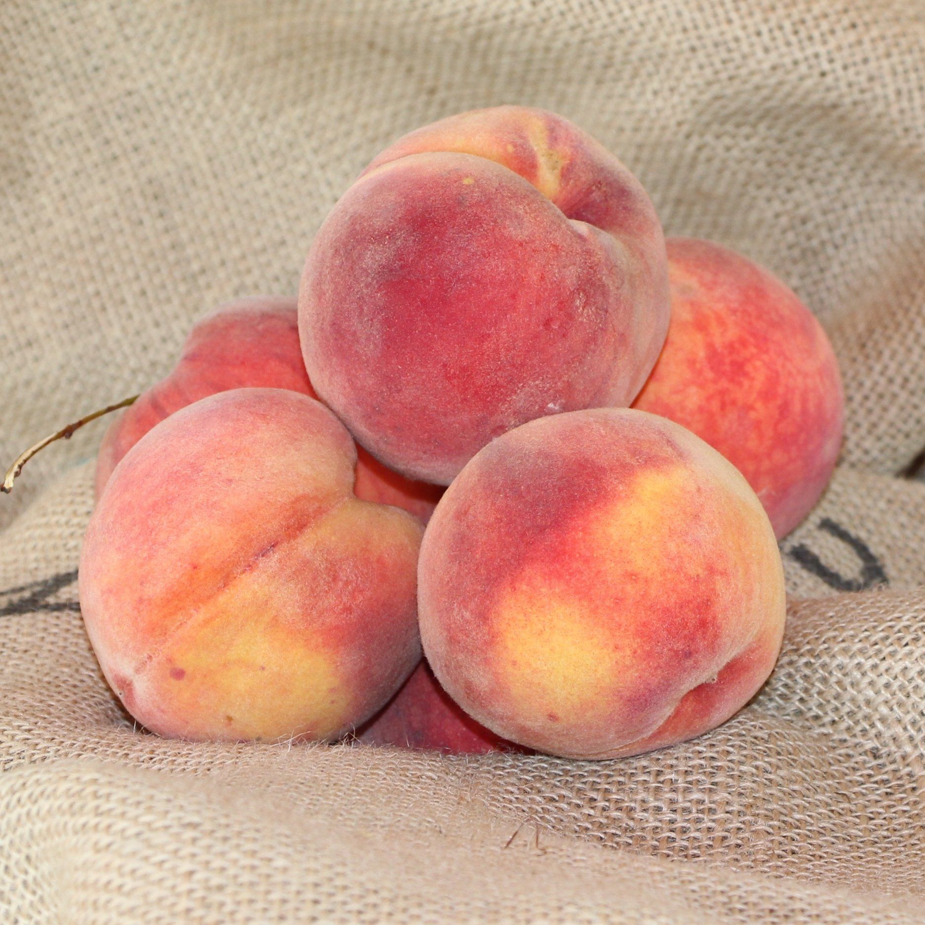 locally grown peaches