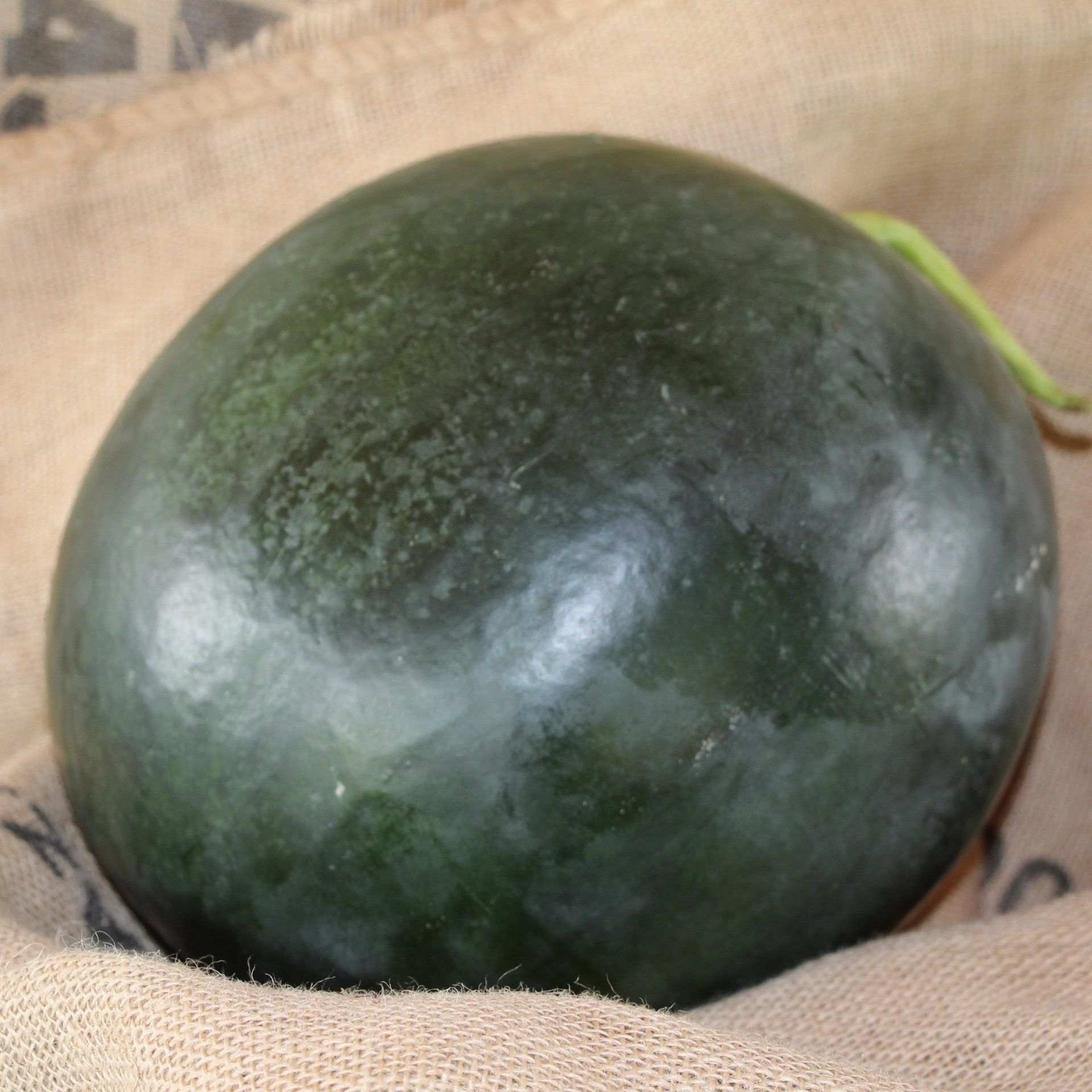 locally grown black diamond watermelons