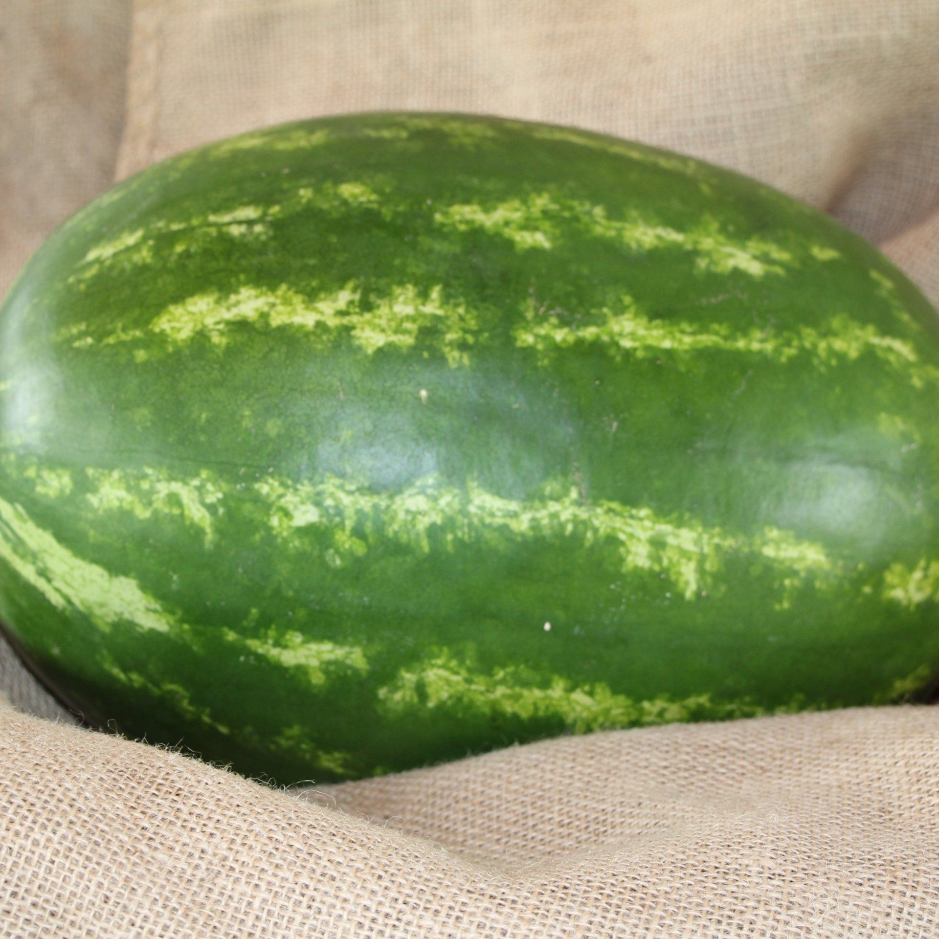 locally grown seedless watermelons