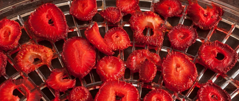 strawberries in dehydrator