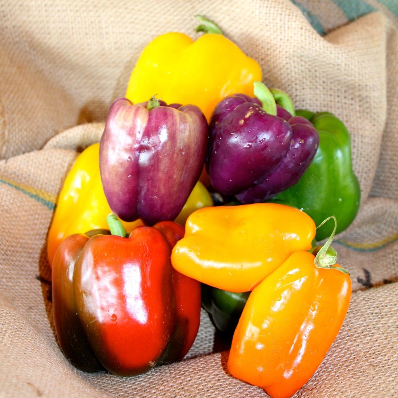 locally grown bell peppers
