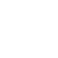 Visy