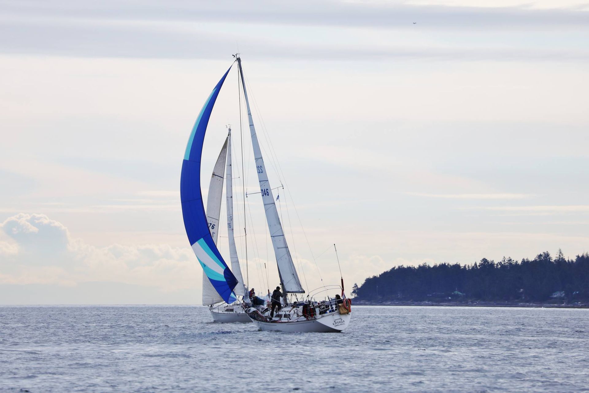 Sailboat