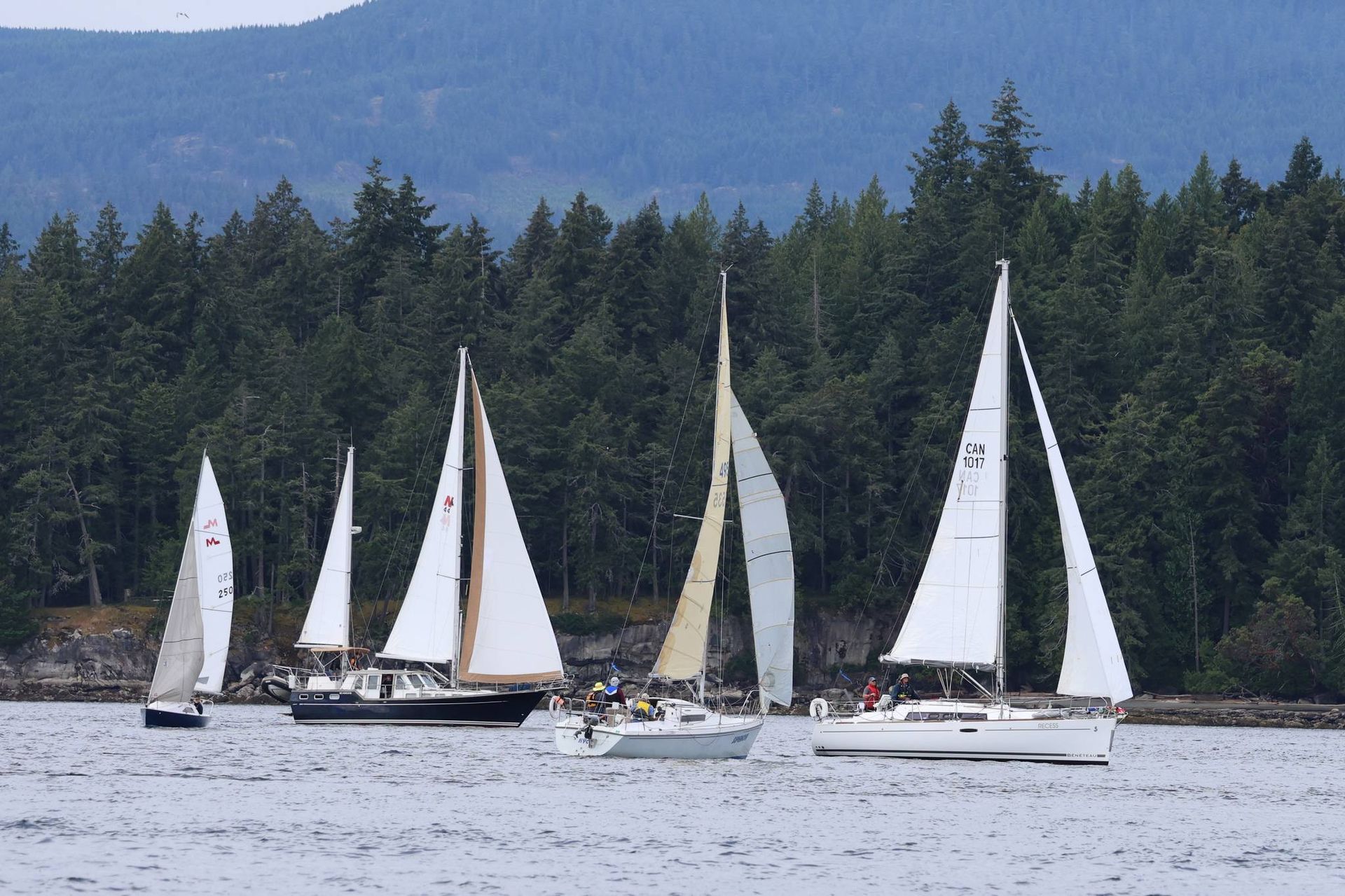 Sailboat