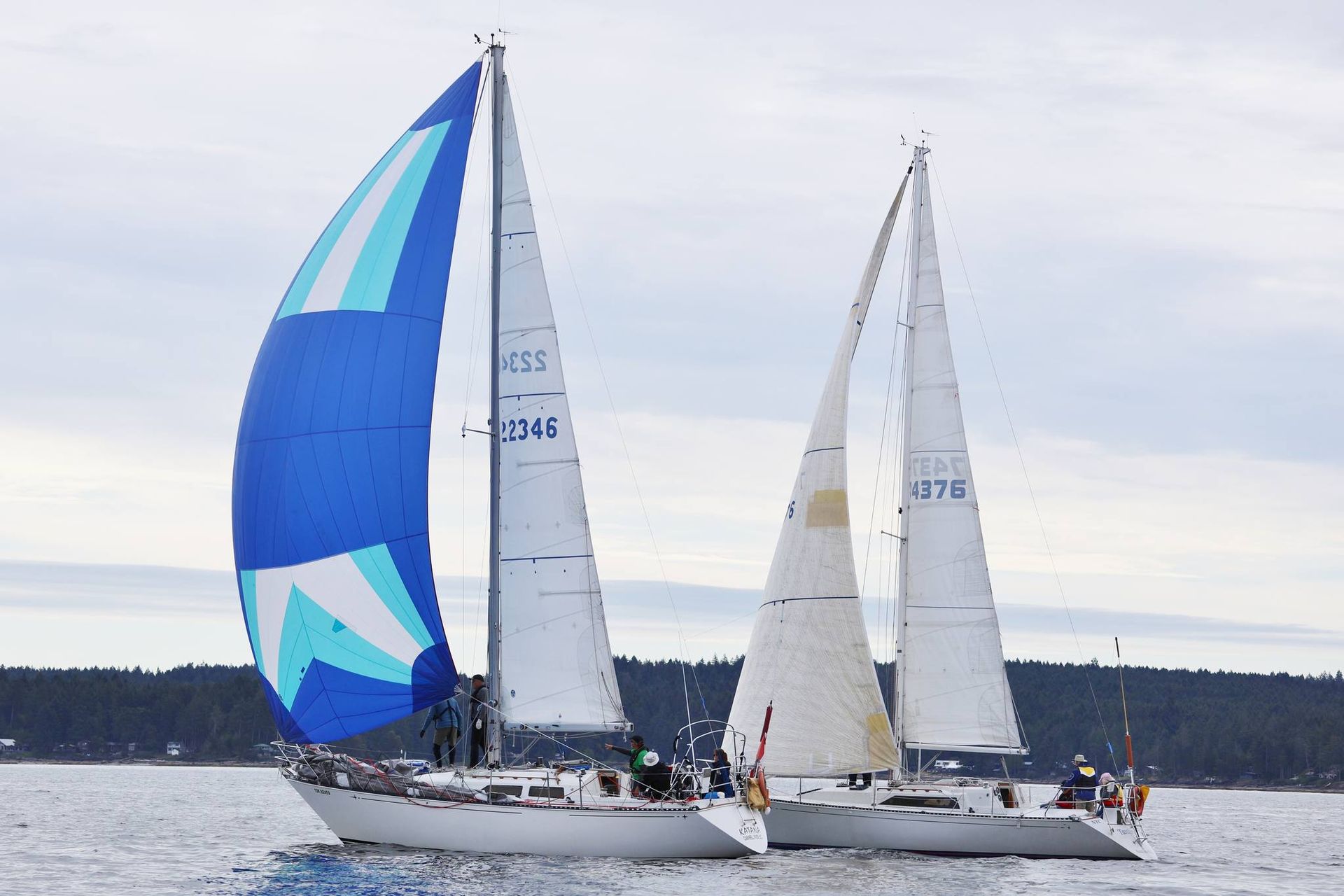 Sailboat
