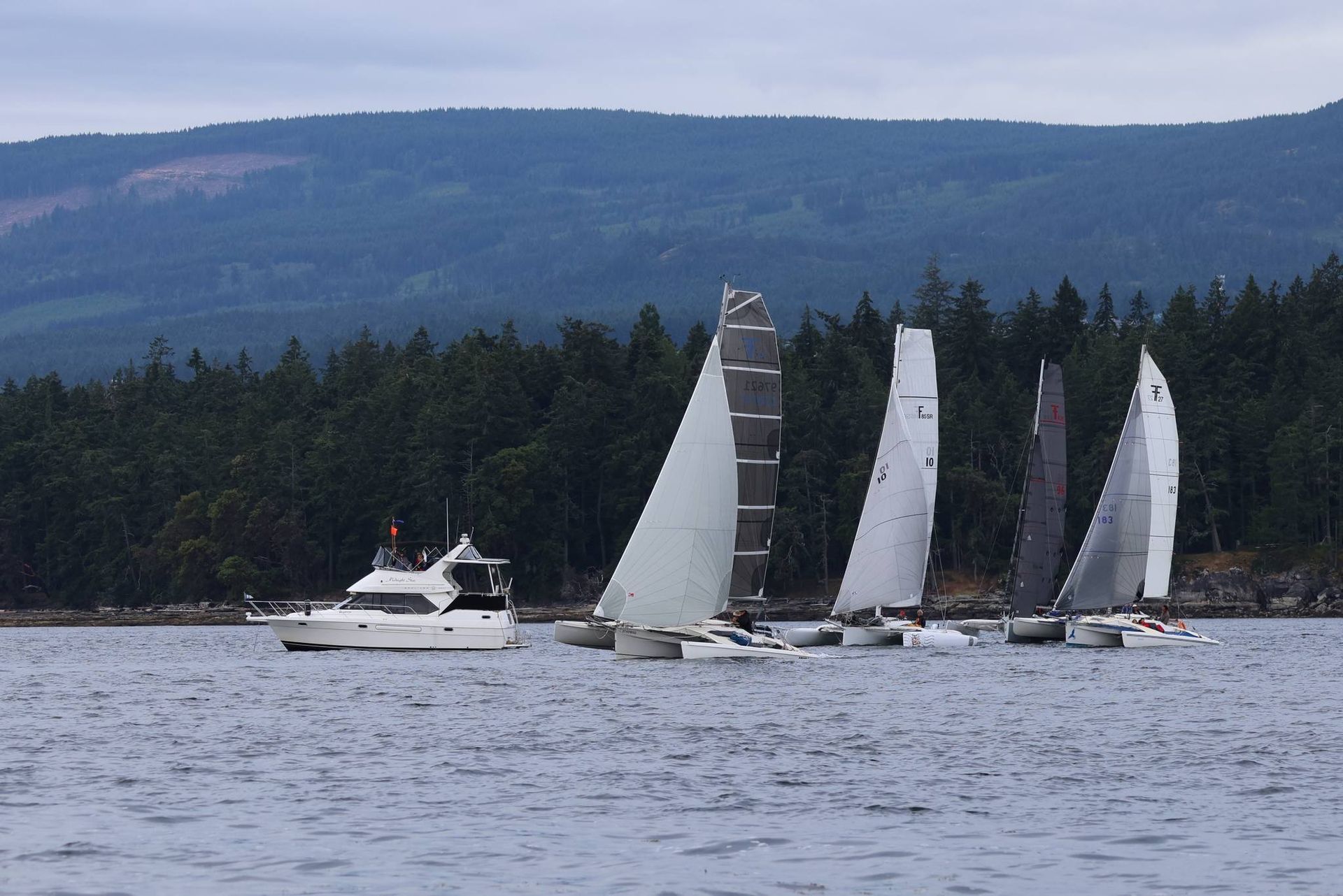 Sailboat