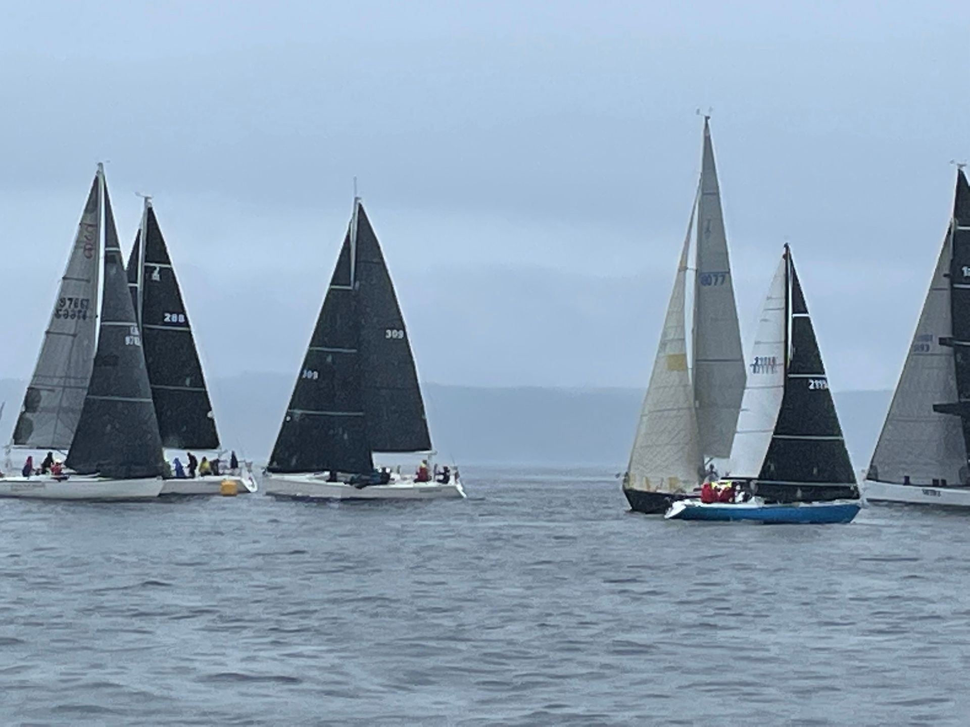 A group of sailboats are floating on top of a body of water.