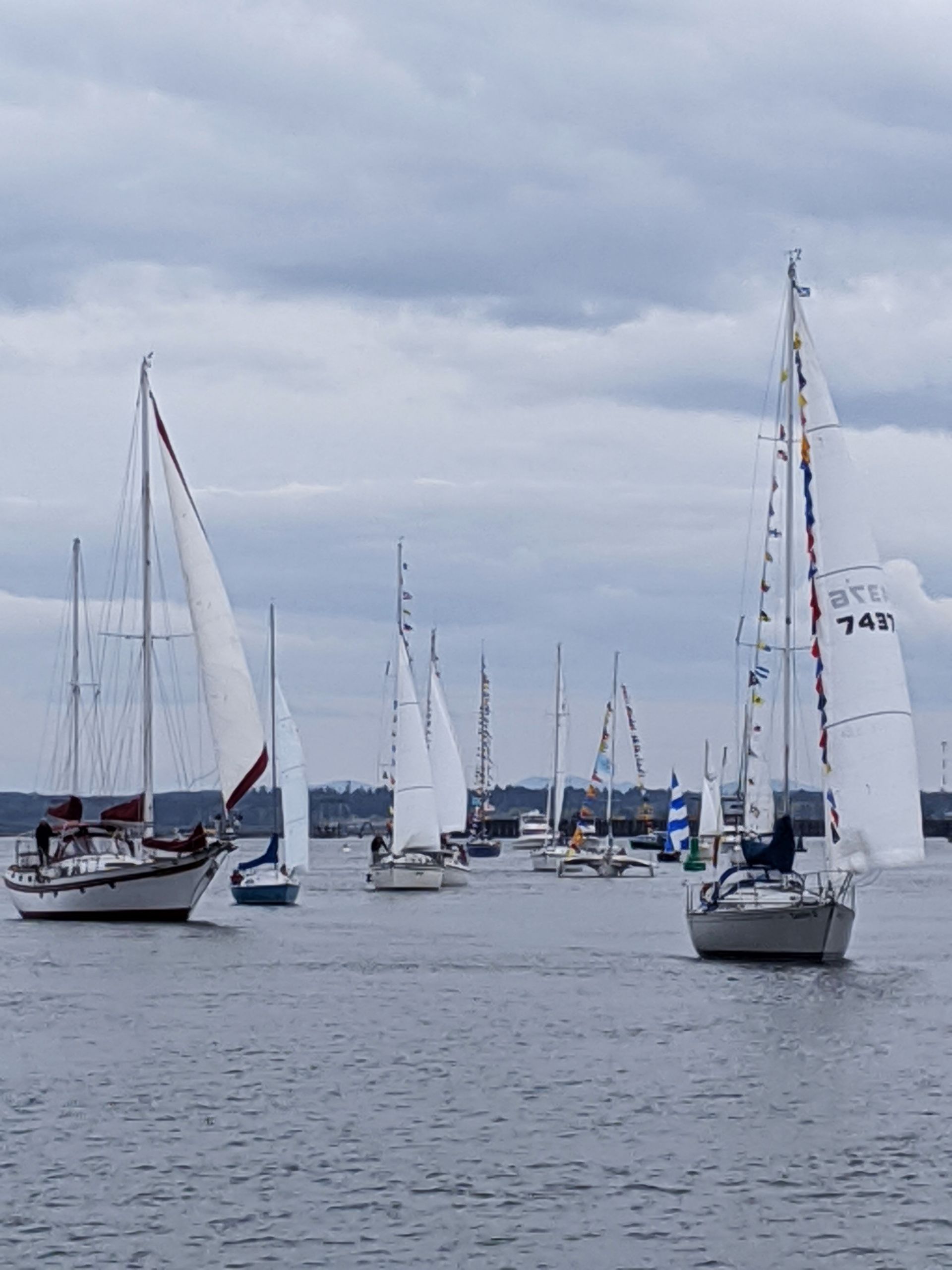A group of sailboats are floating on top of a body of water.