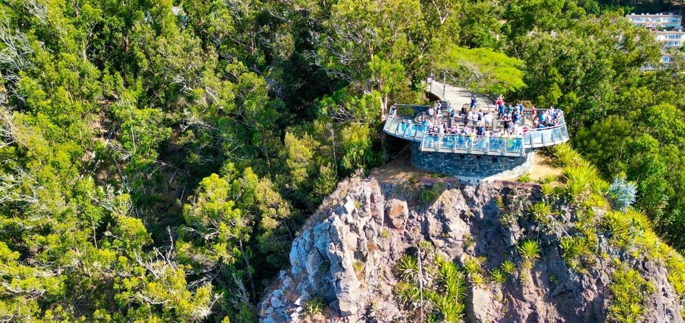 Aerial view of people standing on a glass-floored viewing platform on a rocky cliff, surrounded by lush green trees.