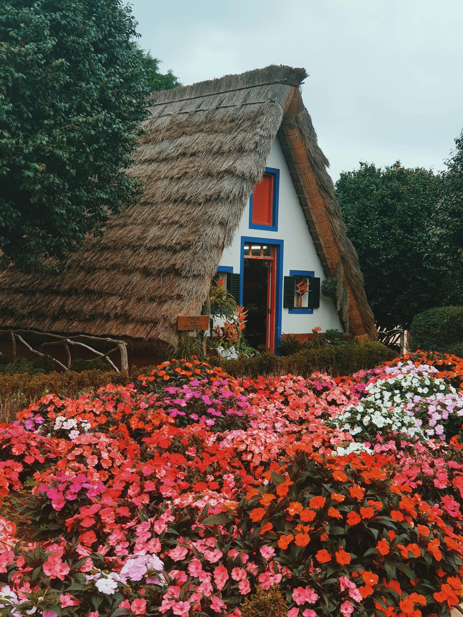 A-frame cottage with thatched roof, surrounded by vibrant flowers.