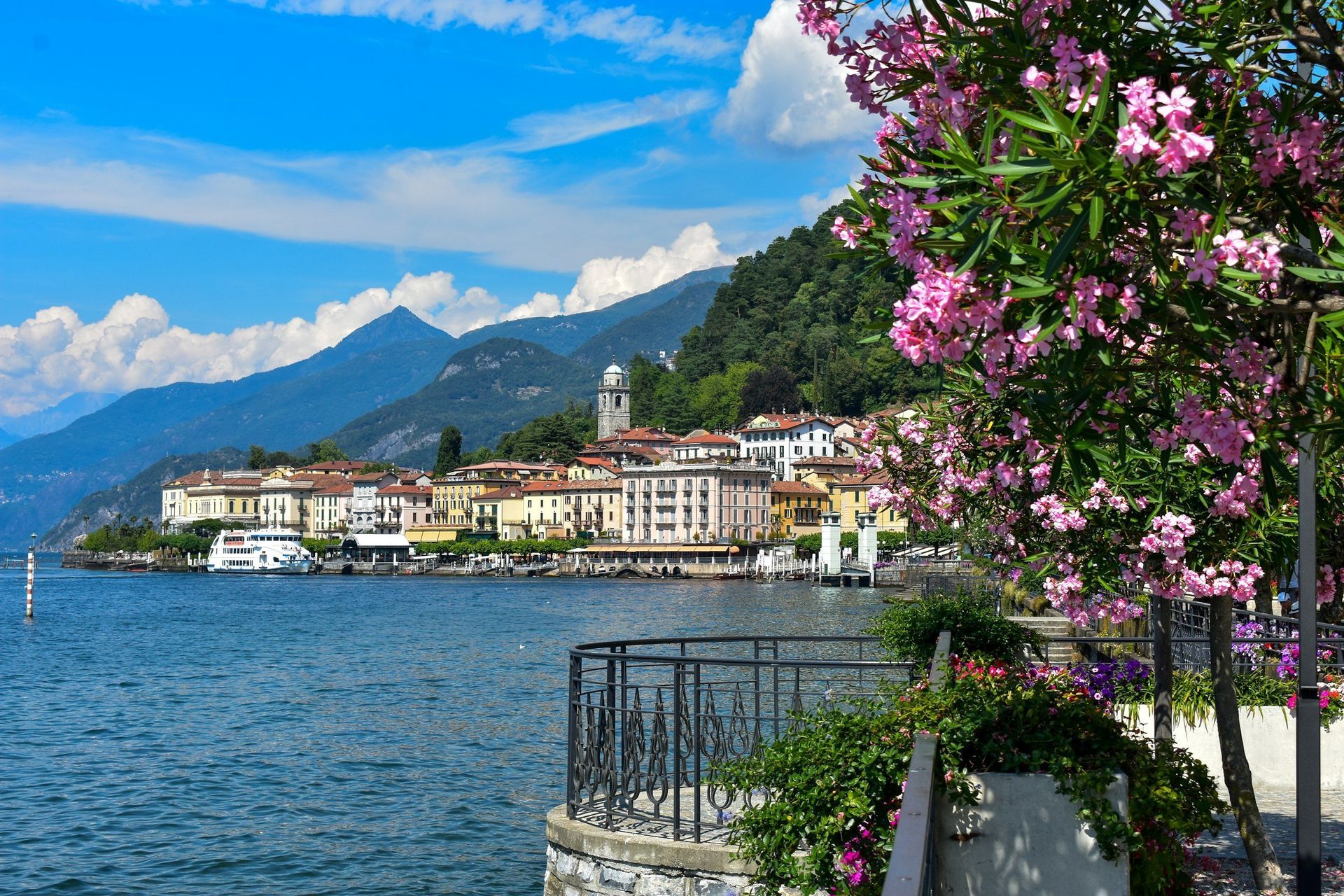 Lake Como village with mountains and flowering tree.