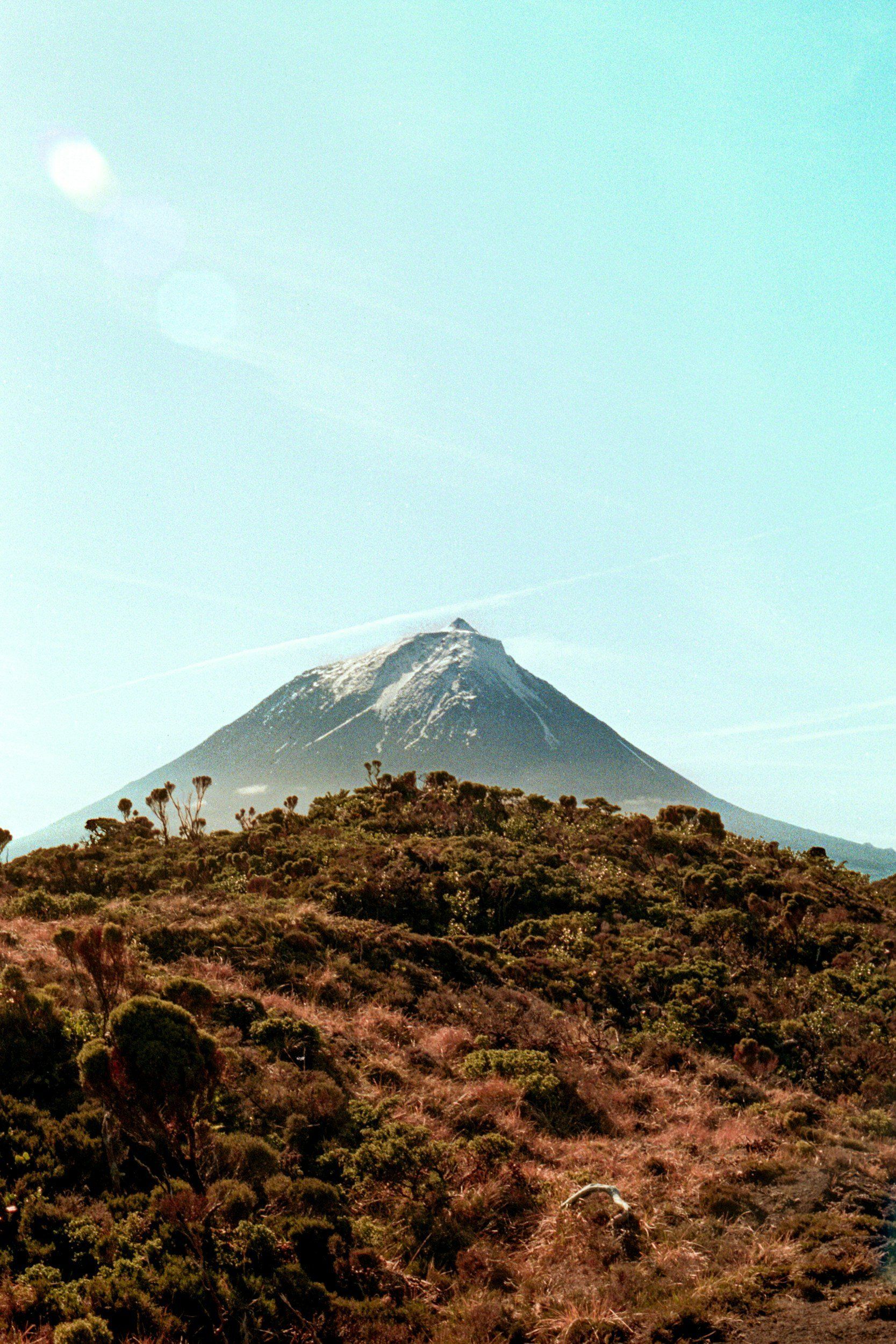 Mountain summit with snow, seen above a brown, shrub-covered foreground, under a pale blue sky.