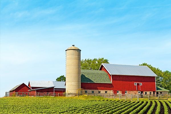 Red barn and silo in a field of green crops under a bright blue sky.