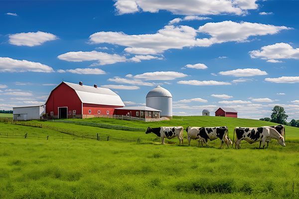 Red barn and silo on green farm field with cows grazing under a blue sky.