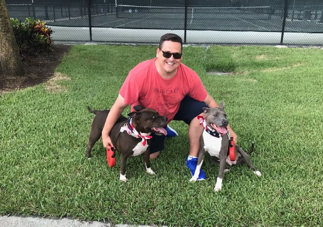 A man is kneeling down next to two dogs in the grass.