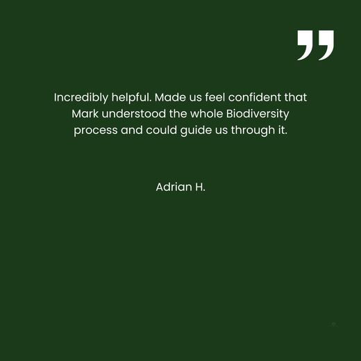 A green background with a quote from adrian h.