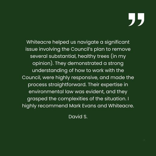A quote from david s. on a green background