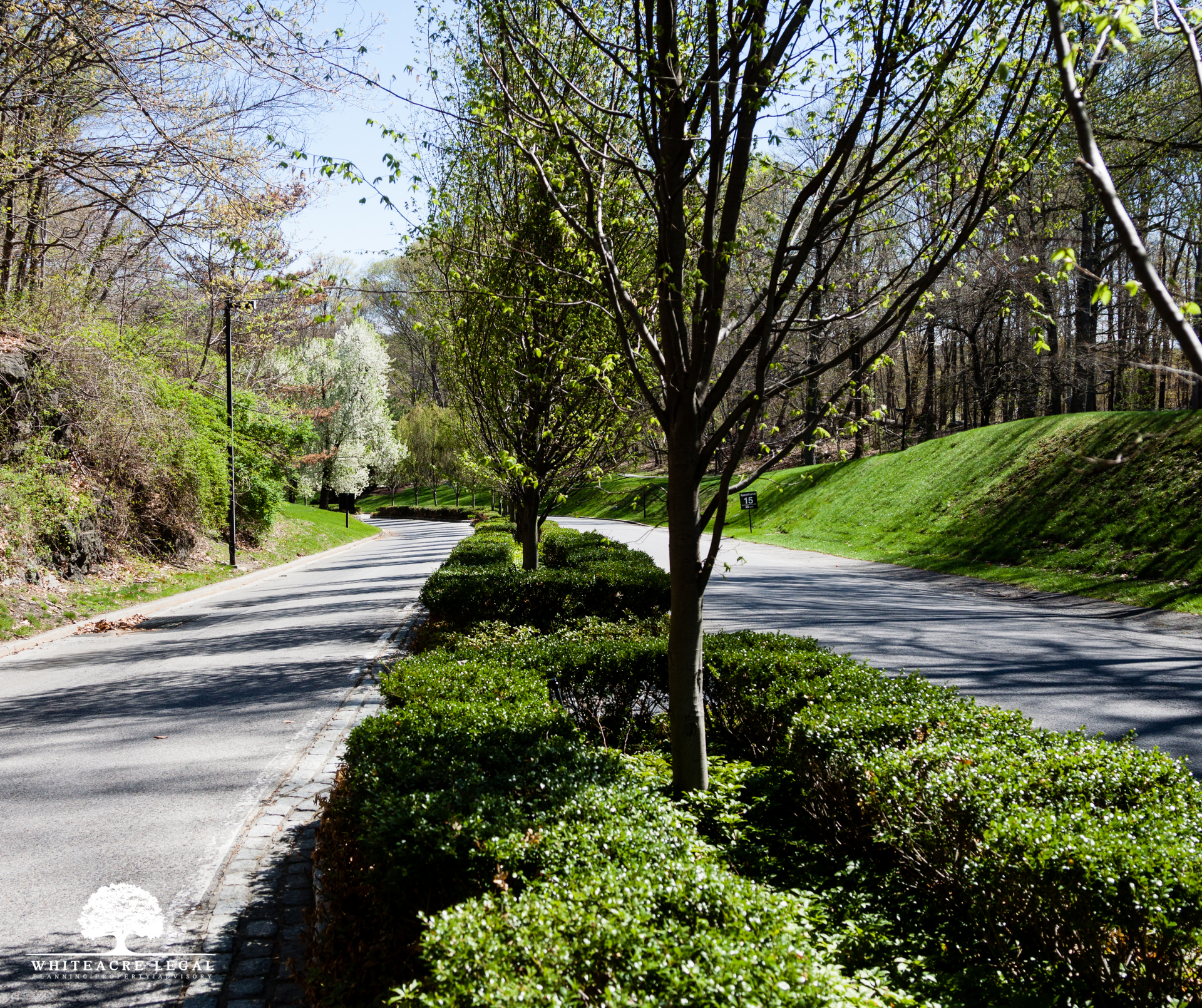 shared driveways