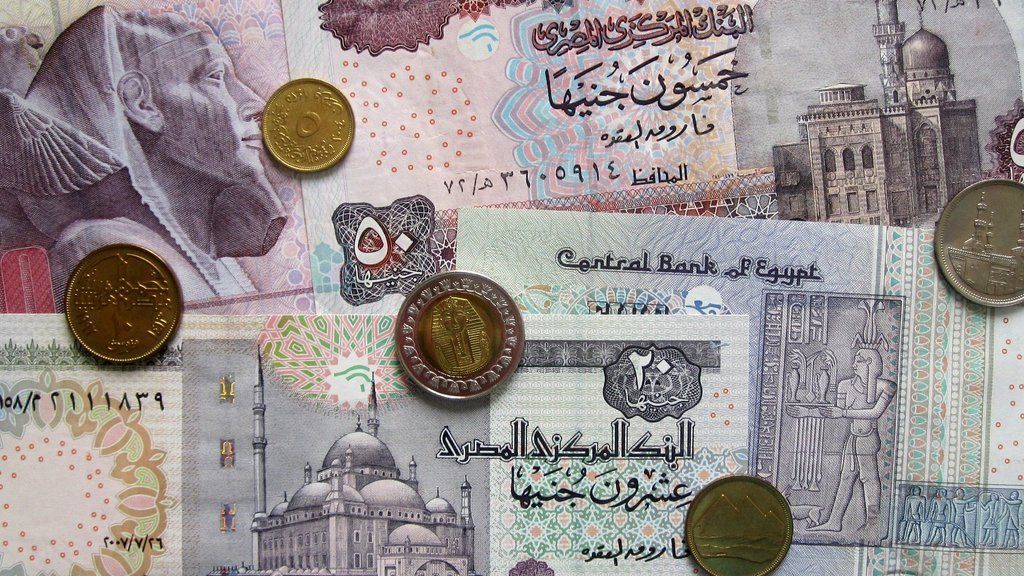 egyptian banknotes and coins