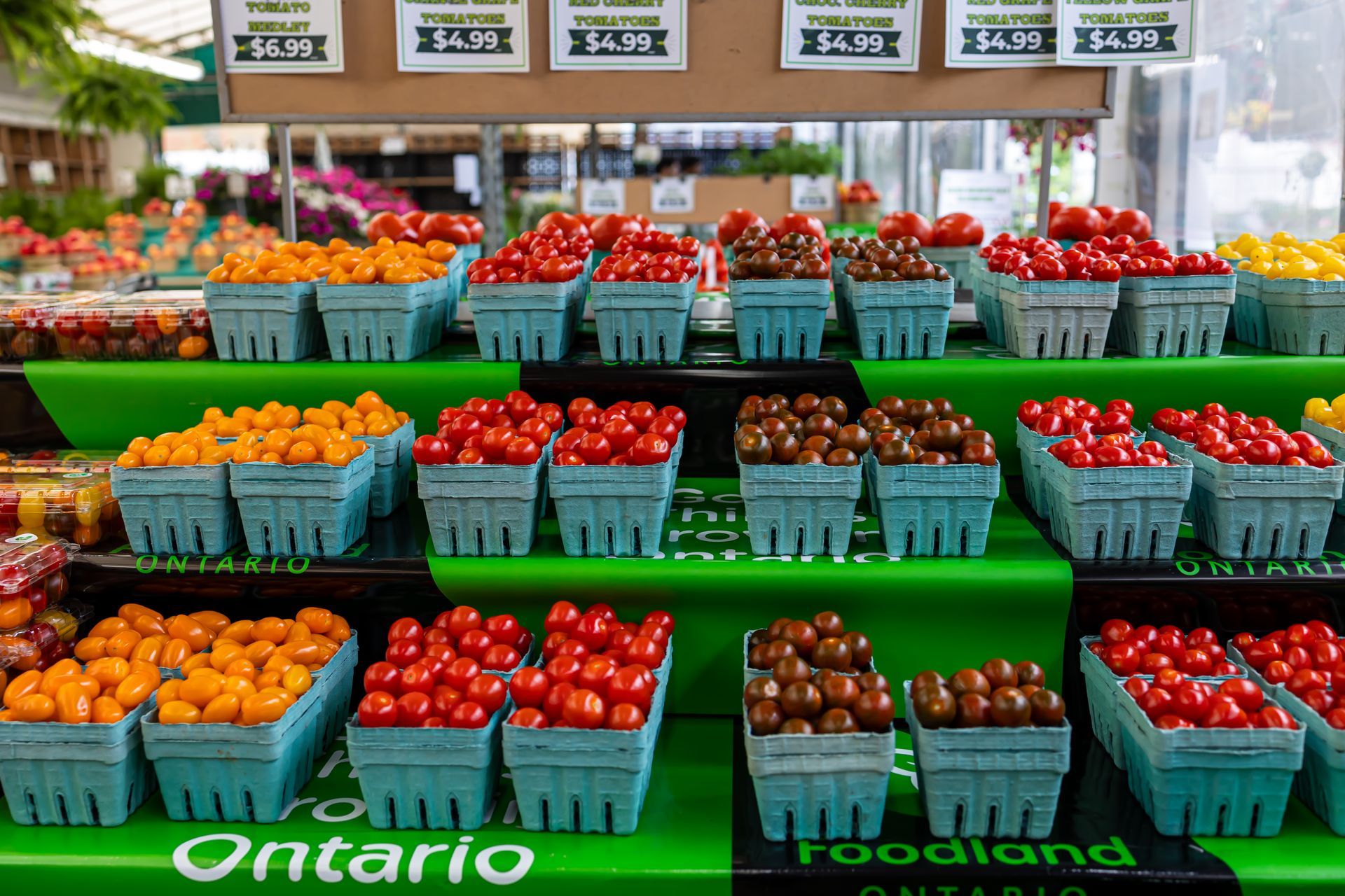 A variety of fruits and vegetables are on display at the ontario foodland