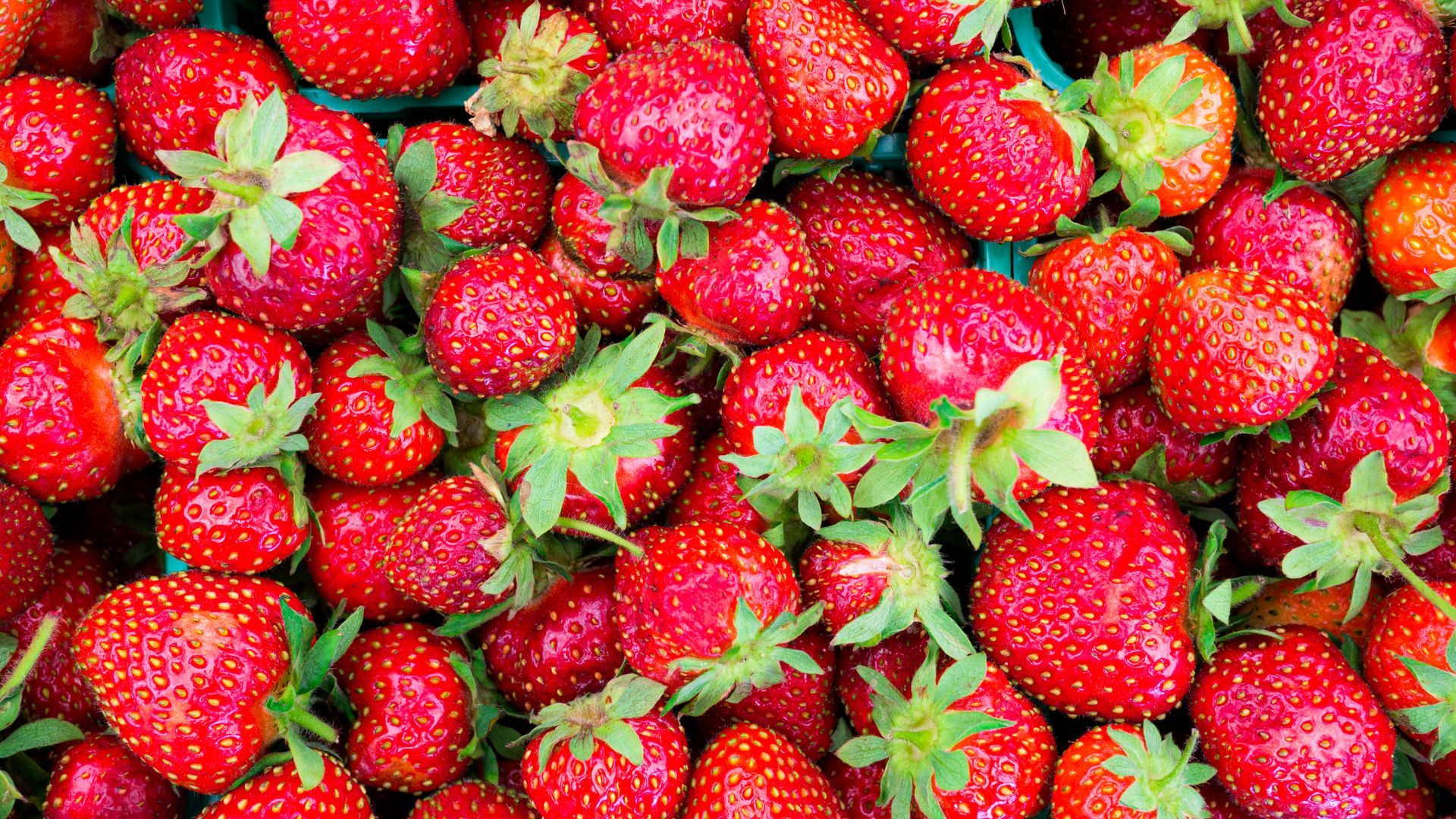 A bunch of strawberries are sitting on top of each other on a table.