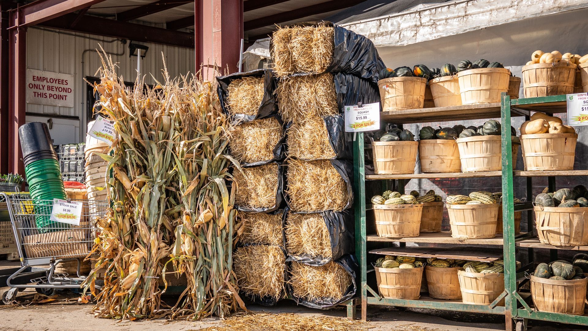A bunch of hay bales are stacked on top of each other in a store.