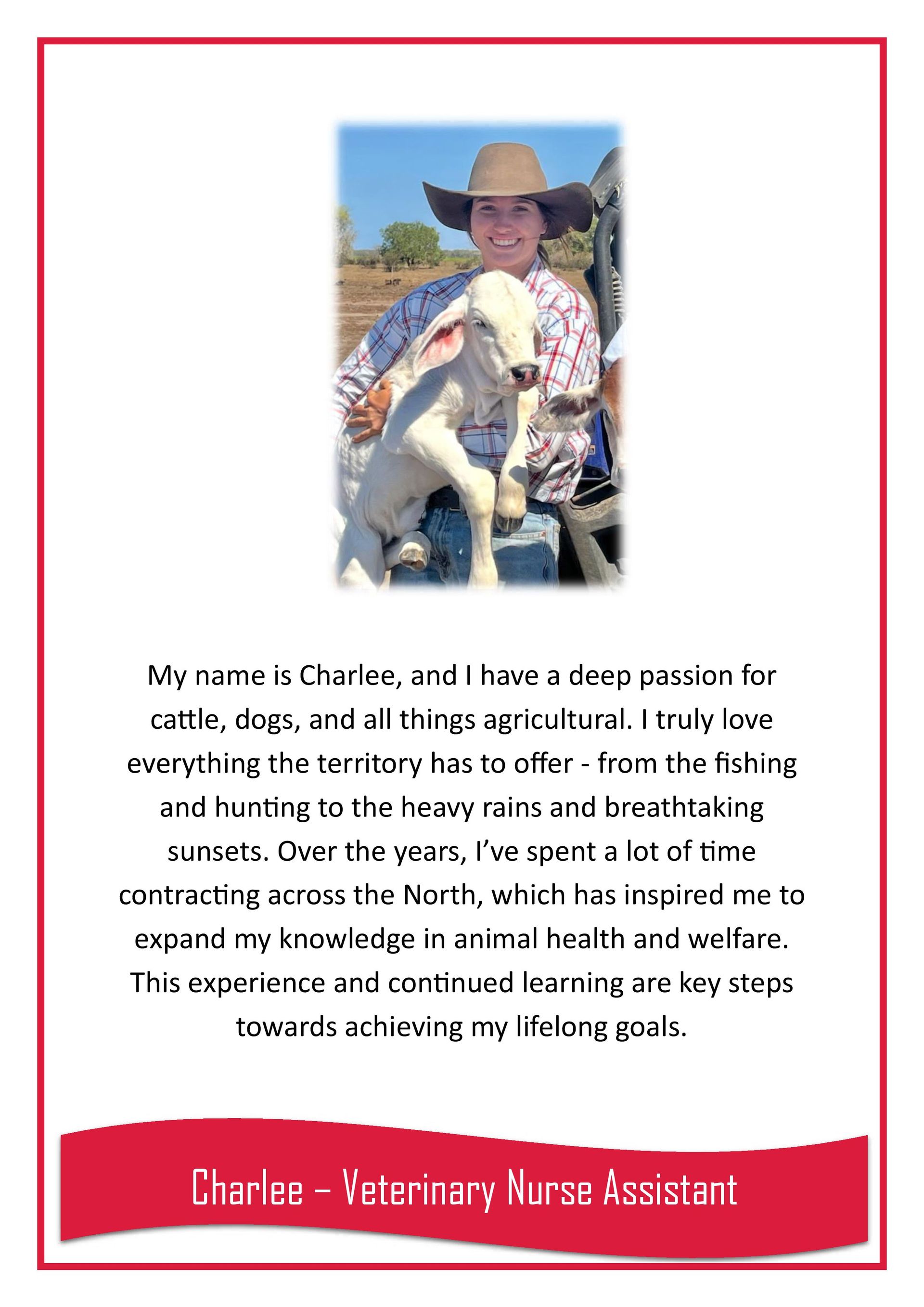 Charlee — Darwin My Vet Service in Wulagi, NT