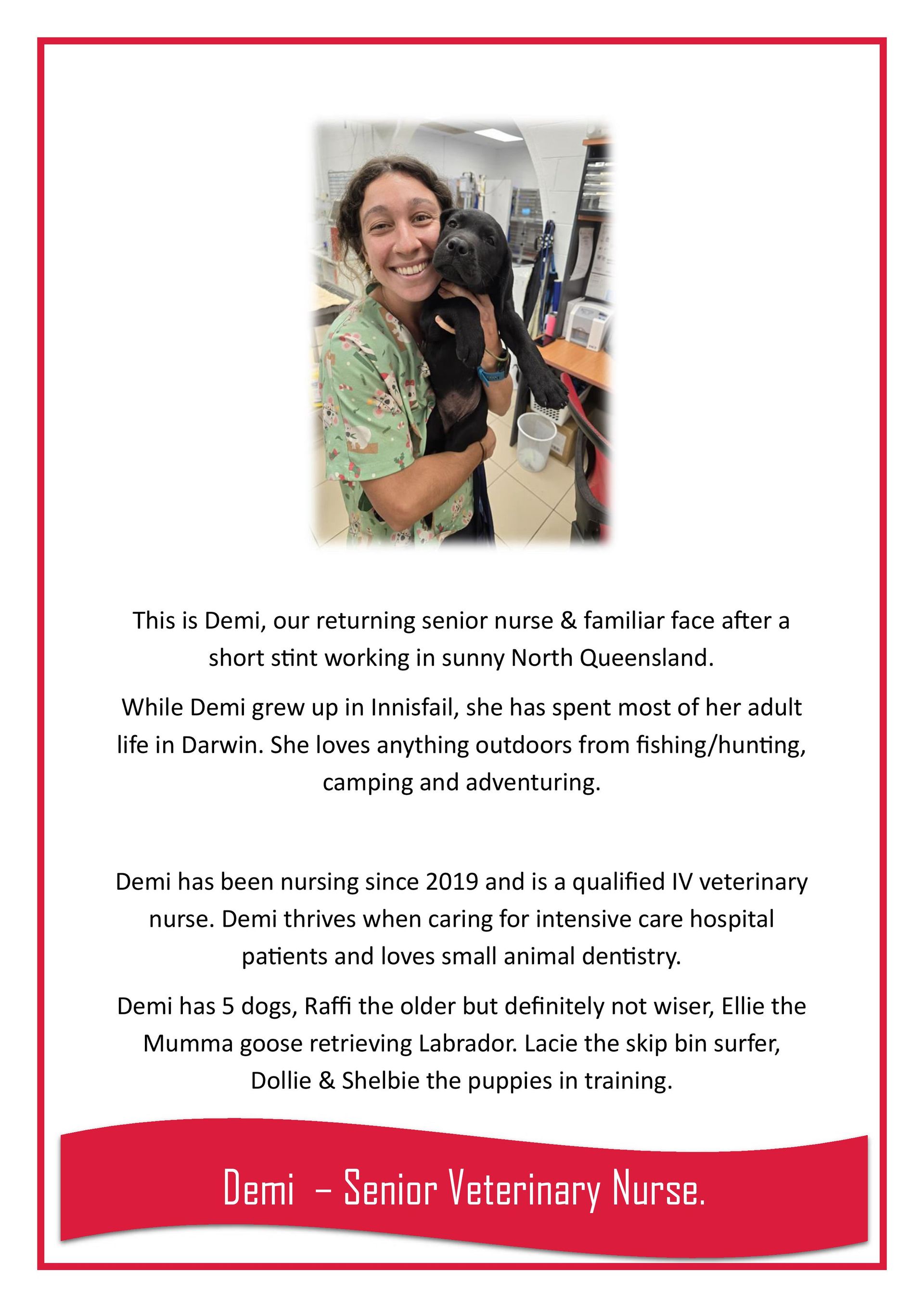 Demi — Darwin My Vet Service in Wulagi, NT