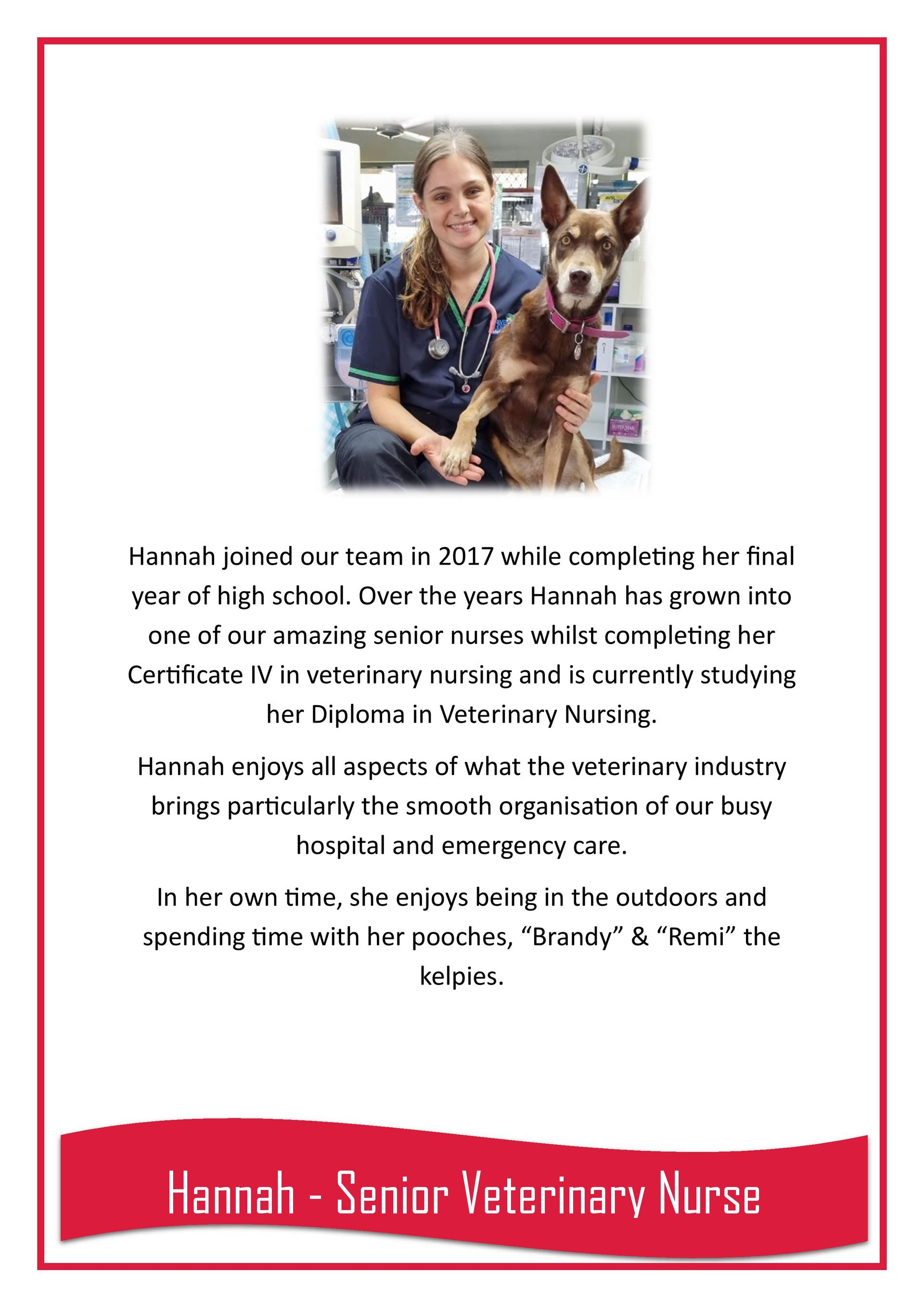 Hannah — Darwin My Vet Service in Wulagi, NT