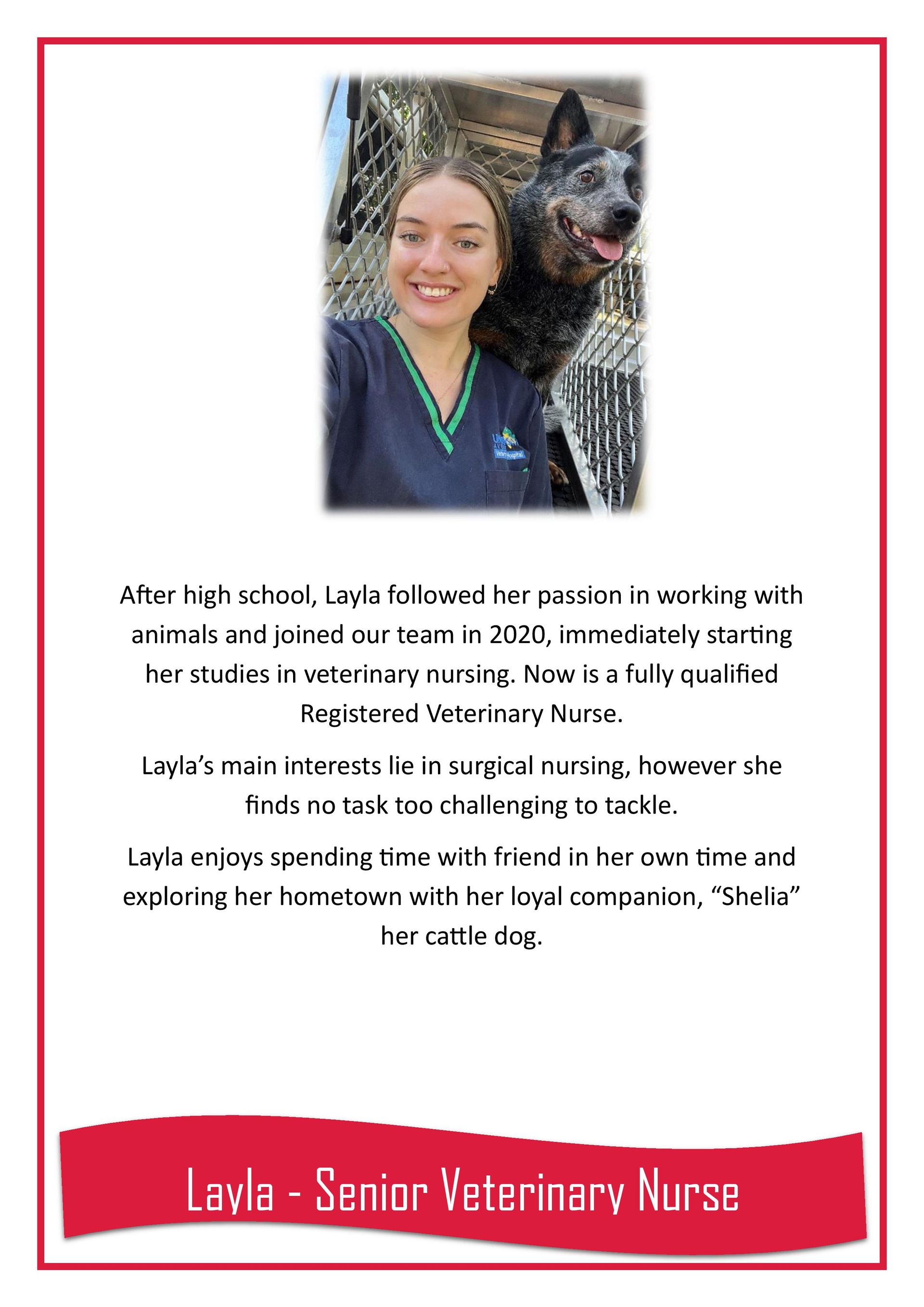 Layla — Darwin My Vet Service in Wulagi, NT