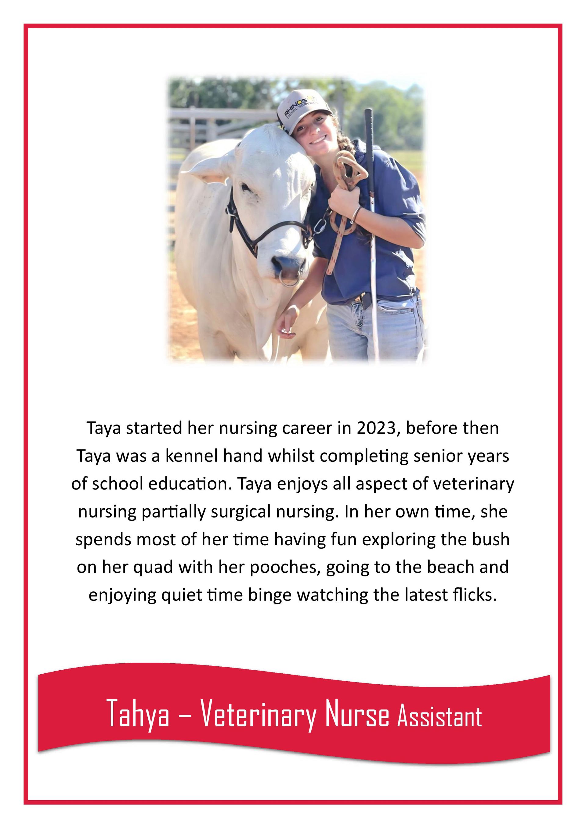 Tahya — Darwin My Vet Service in Wulagi, NT