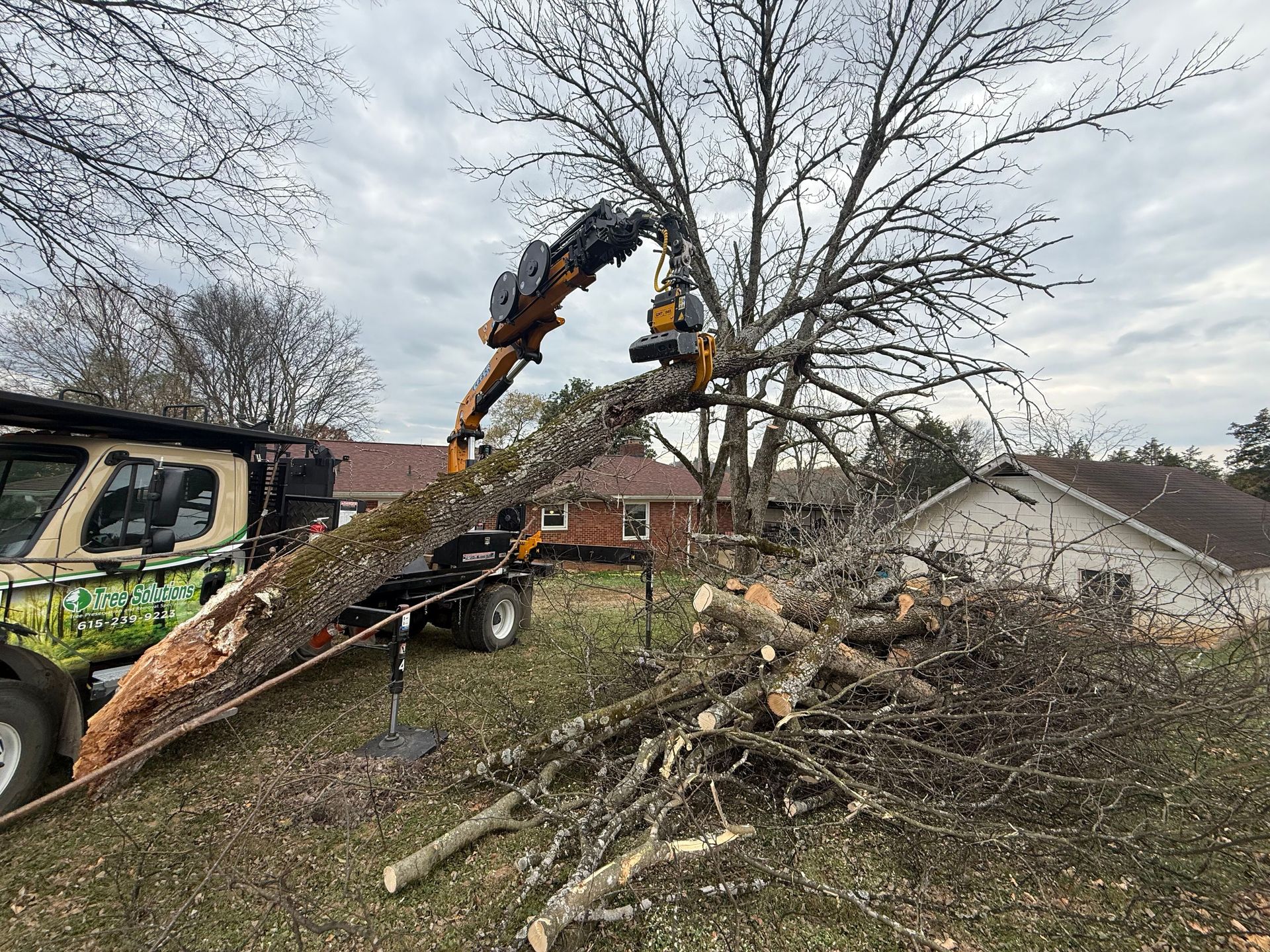 A fallen tree is laying on top of a pile of dirt.