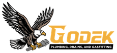 Logo featuring a bald eagle holding a wrench, with the company name GODEK and the text