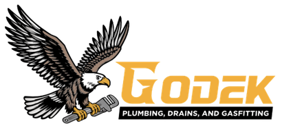 Logo featuring a bald eagle holding a wrench, with the company name GODEK and the text