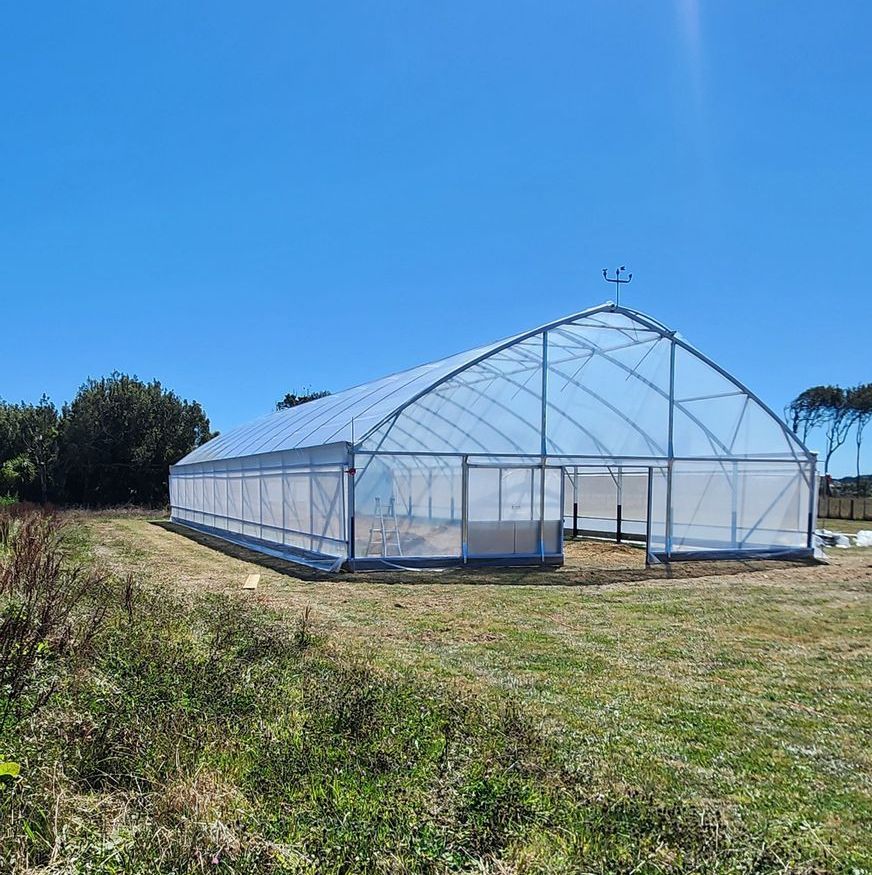 A large greenhouse is sitting in the middle of a grassy field.