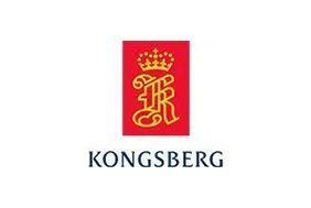 SERVICIOS DE AUDIO, VIDEO & COMPUTO DE VERACRUZ