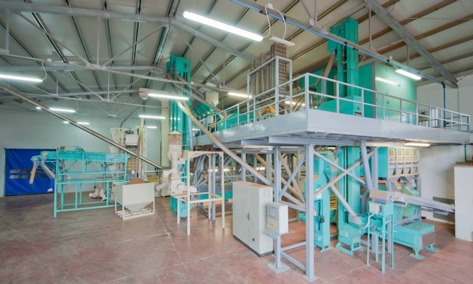 Production d'amandes