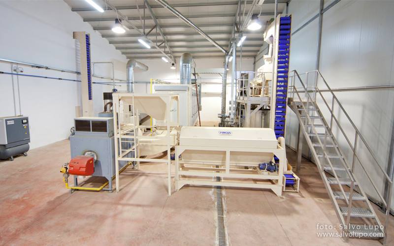 fruits-bongiovanni-mazzarino-015