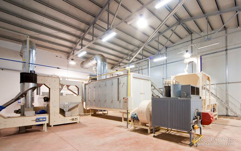 Conditionnement d'amandes