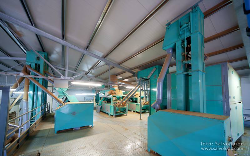 société de commercialisation d'amandes