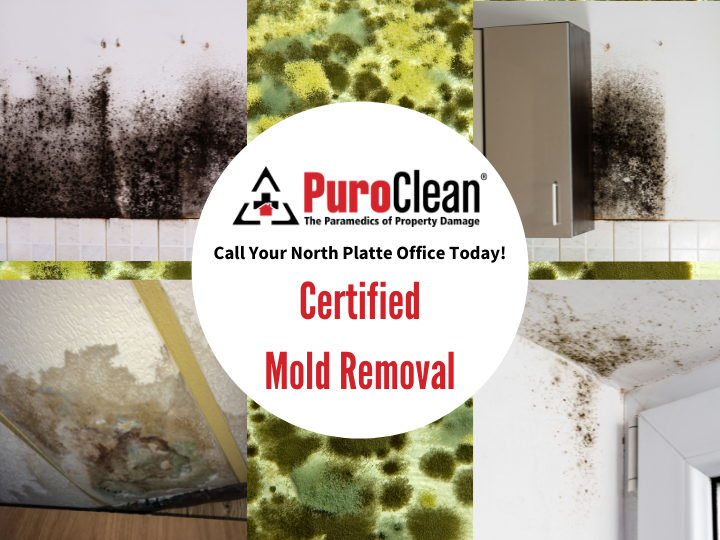 Puroclean is a certified mold removal company