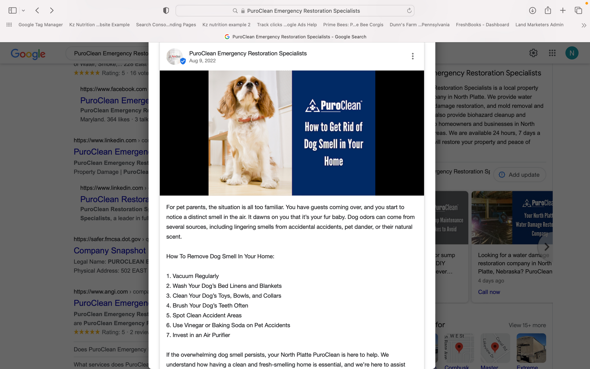 A screenshot of a website with a picture of a dog on it.