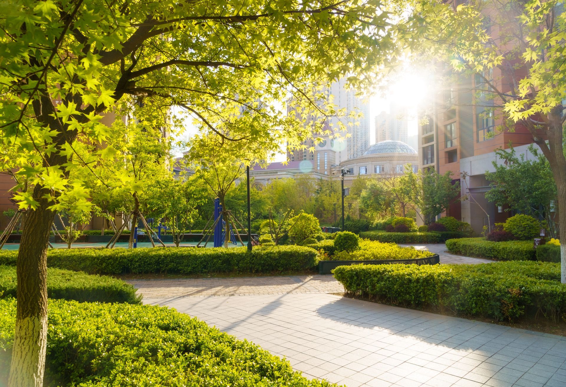 The sun is shining through the trees in a park.