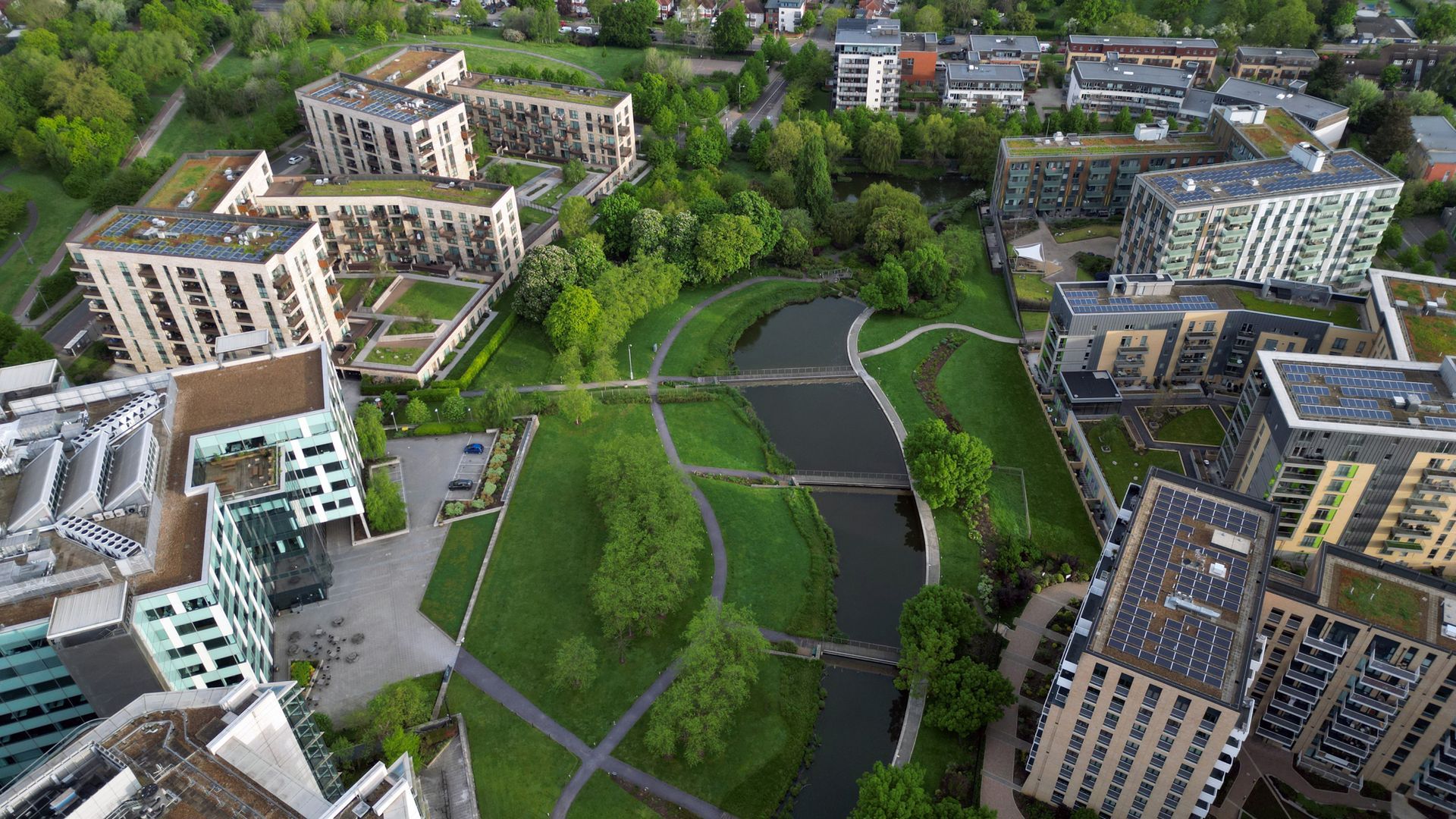 The sun is shining through the branches of a tree