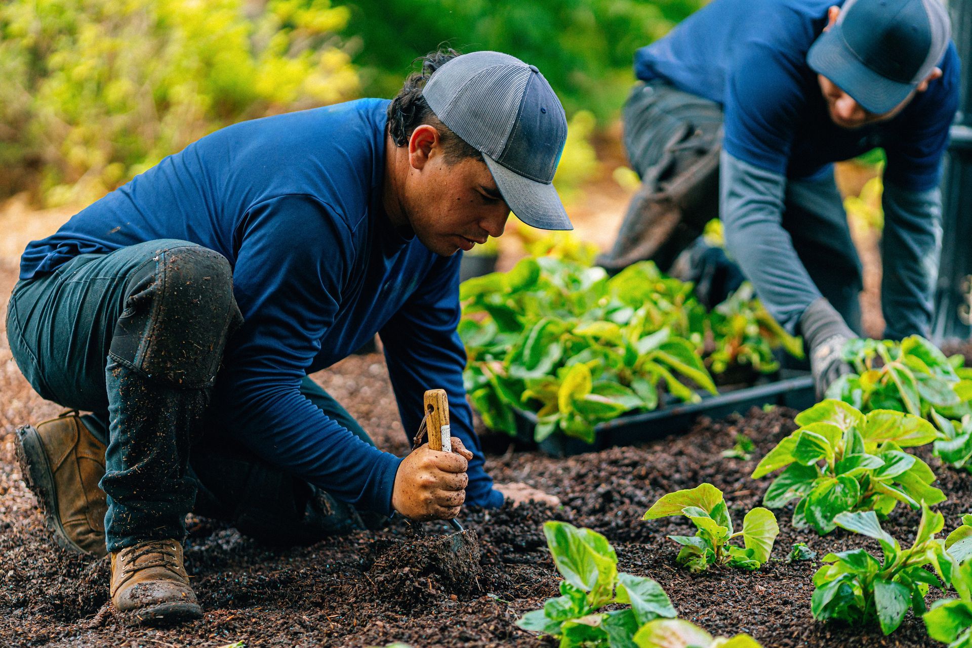 A group of men are working in a garden.