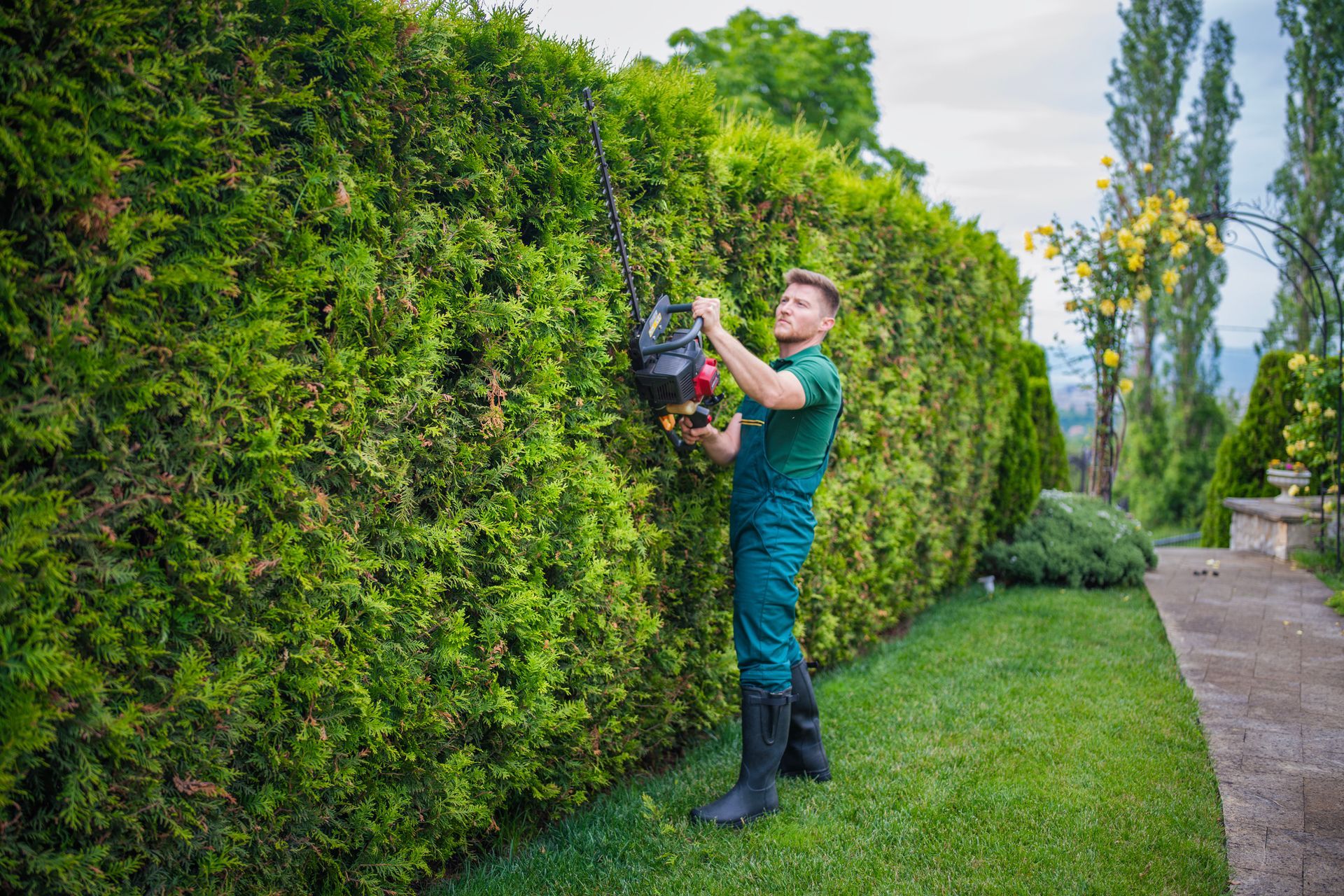 A man is trimming a hedge with a hedge trimmer.