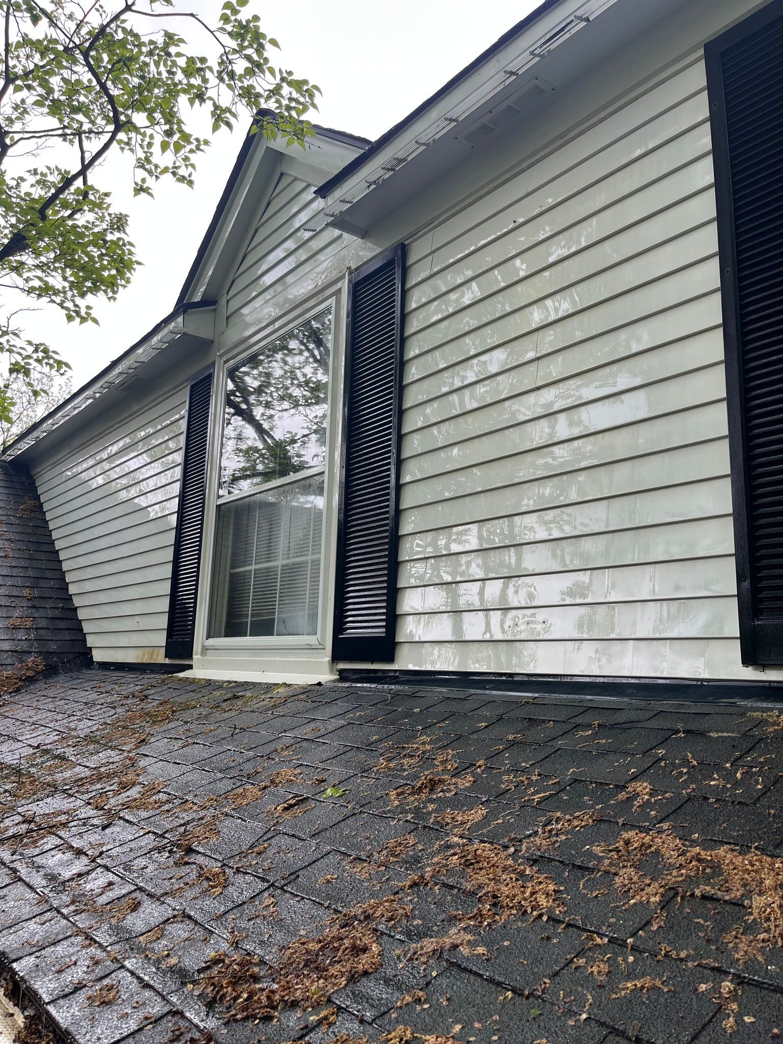 House Wall - Bloomfield Hills, MI - Angelo's Maintenance and Pressure Washing