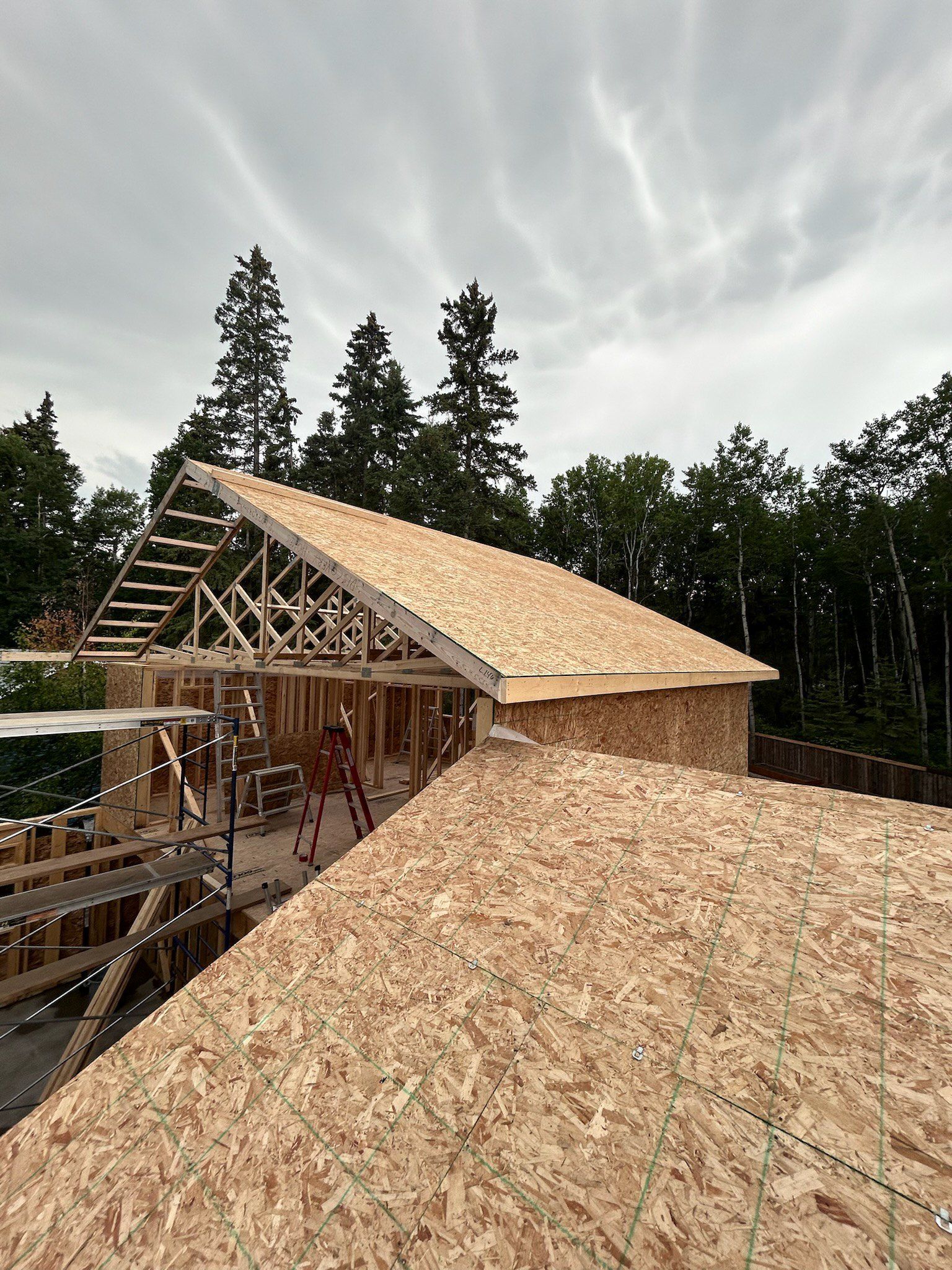 Construction of a wood-framed building with a partially sheathed roof, set against a backdrop of trees and a cloudy sky.