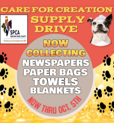 Our new CARE OF CREATION GROUP
is collecting gently used towels and blankets, newspapers and clean paper bags to assist our nearby SPCA in caring for rescue animals. Please place your donations in the boxes in the vestibule of the Church over the next few weeks
from September 7 through October 5.
